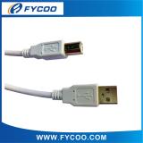 USB AM TO BM Cable